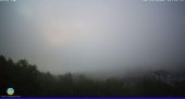 Snapshot taken on 15.05.2025 am31 06:05