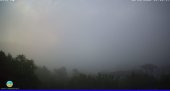 Snapshot taken on 15.05.2025 am31 06:20