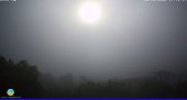 Snapshot taken on 15.05.2025 am31 07:45