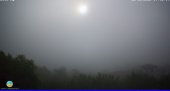 Snapshot taken on 15.05.2025 am31 07:50