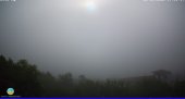 Snapshot taken on 15.05.2025 am31 07:55