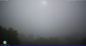 Snapshot taken on 15.05.2025 am31 08:05