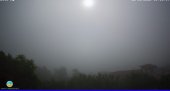 Snapshot taken on 15.05.2025 am31 08:10