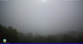Snapshot taken on 15.05.2025 am31 08:15