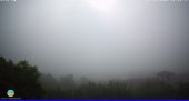 Snapshot taken on 15.05.2025 am31 08:20
