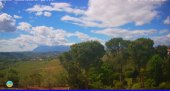 Snapshot taken on 08.05.2025 am31 11:00